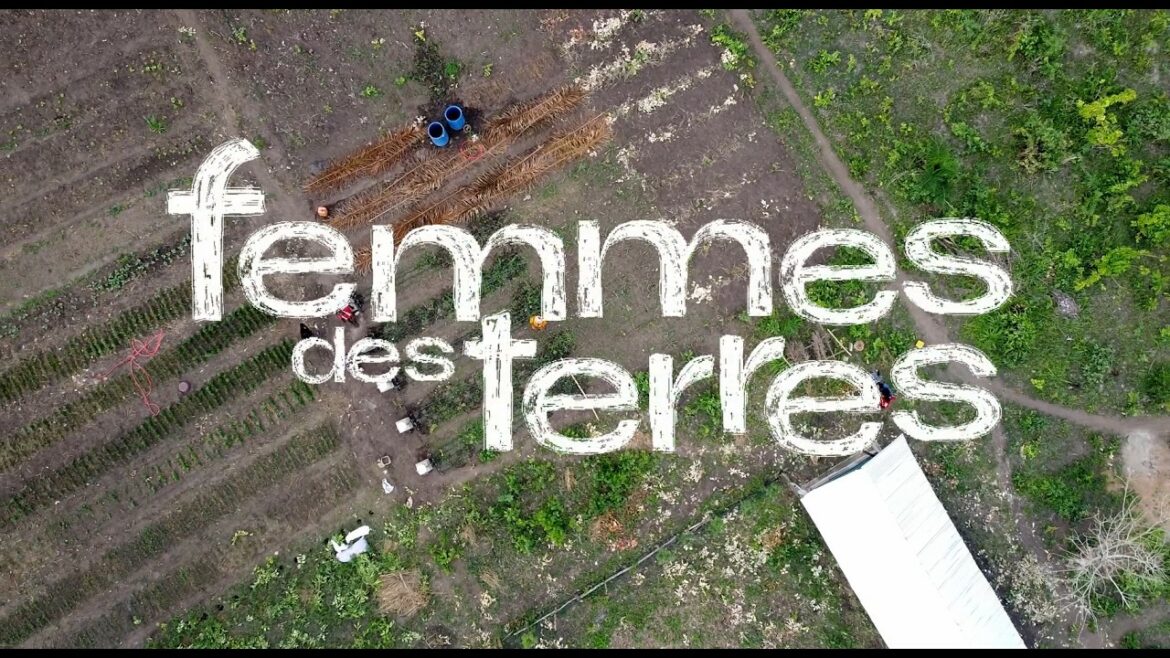 Finissage des expositions Humanis
