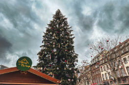 Journée mondiale du bénévolat : rdv le 5 décembre !